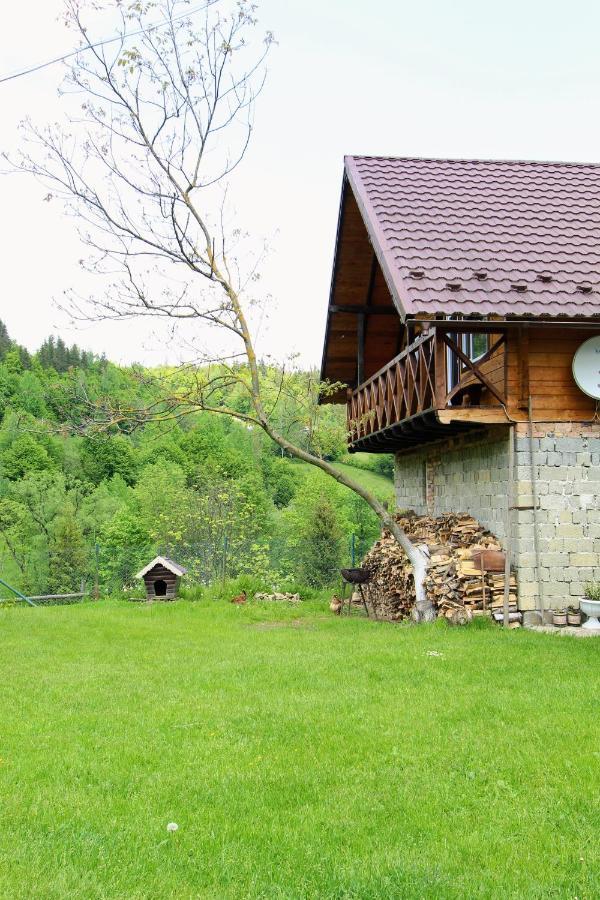 Багрівчанка Lejlighed Yaremche Eksteriør billede